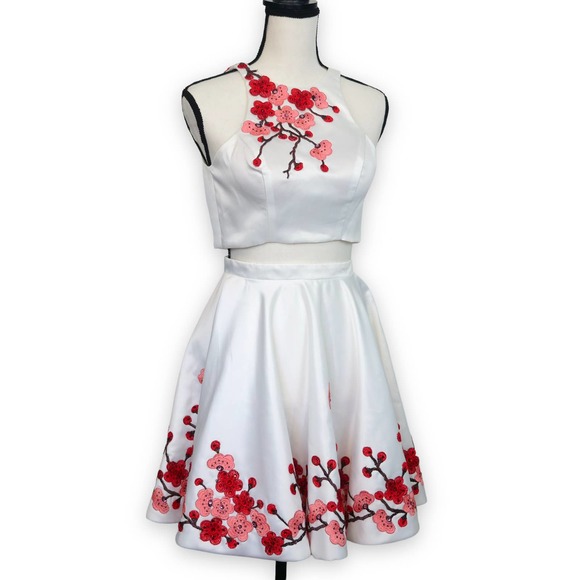 Blush Prom Dresses & Skirts - Blush Prom 2pc Skirt Set Size 0 White Red Pink Cherry Blossom Floral Embroidered